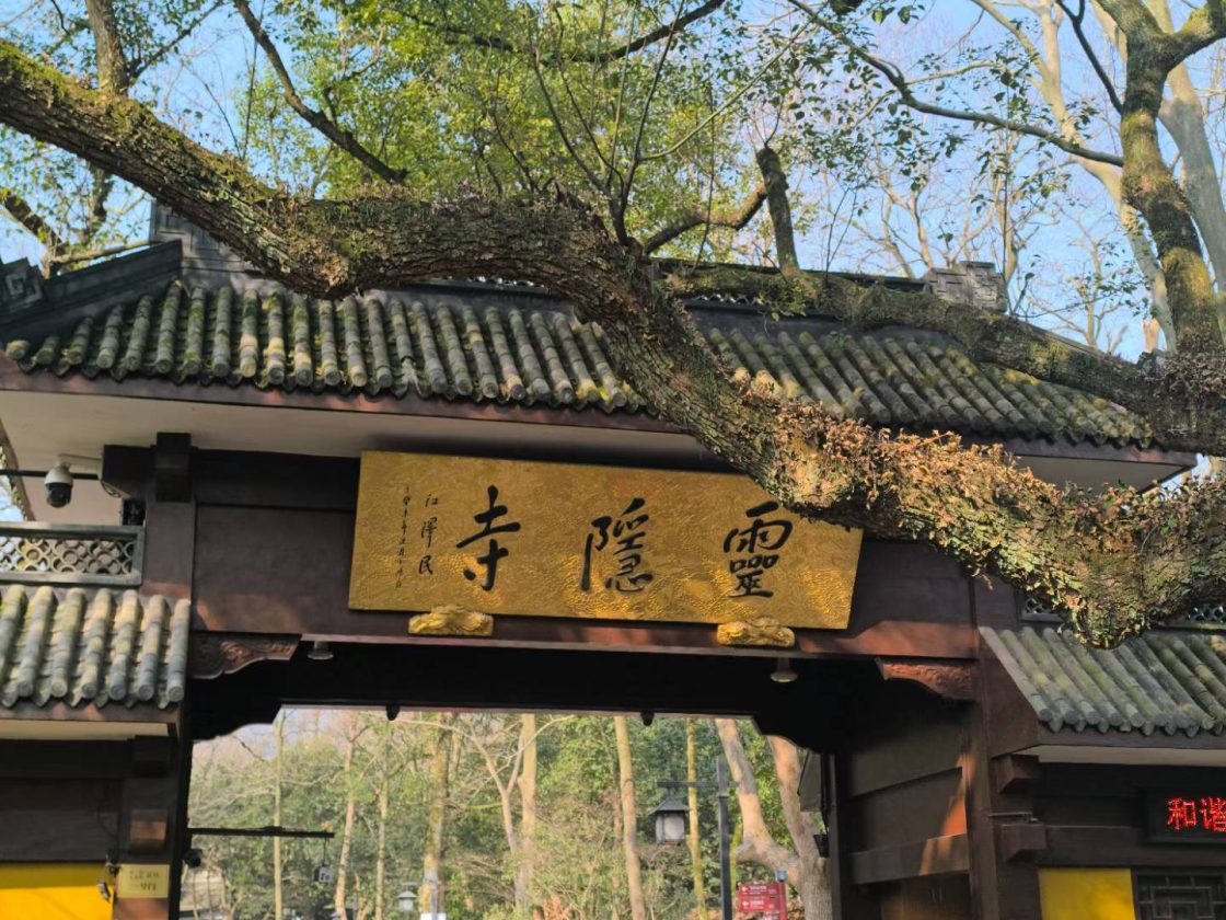 杭州公交车司机极致控方向盘 试图给我均匀的涂抹在车子内部